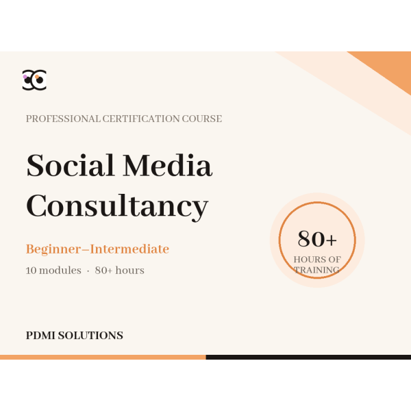 social-media-consultancy