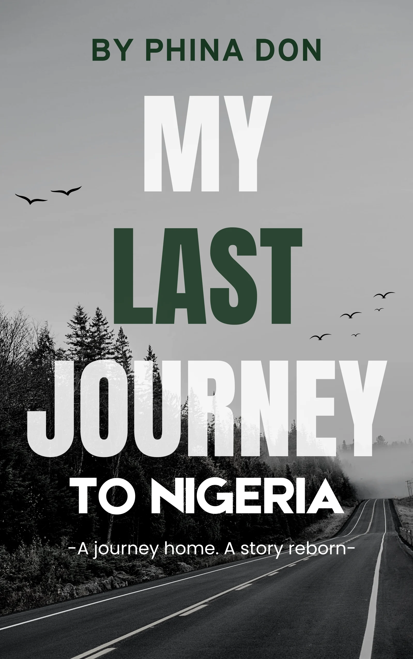 My Last Journey to Nigeria book front cover
